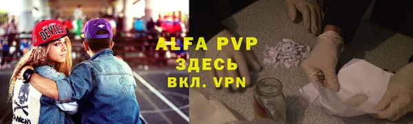 ПСИЛОЦИБИНОВЫЕ ГРИБЫ Иннополис