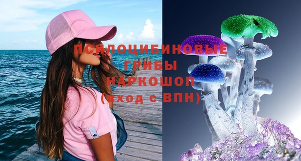 ПСИЛОЦИБИНОВЫЕ ГРИБЫ Иннополис