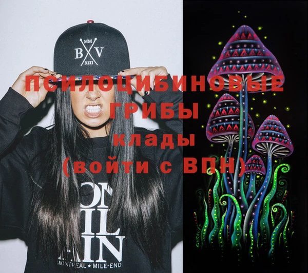 ПСИЛОЦИБИНОВЫЕ ГРИБЫ Иннополис
