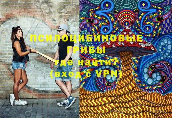 бутират Инсар