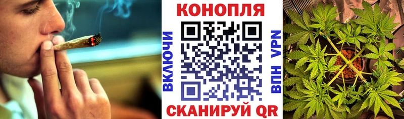Купить где  Николаевск-на-Амуре  Бошки марихуана Bruce Banner 